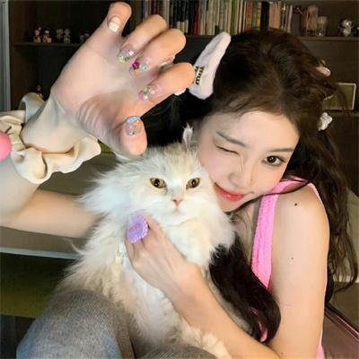 好莱坞以北 在线观看